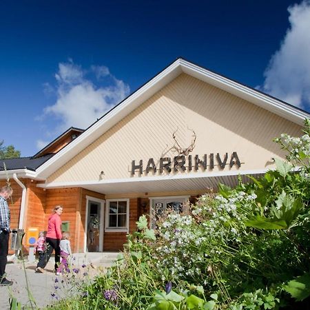 Harriniva Cottages Muonio Exteriör bild